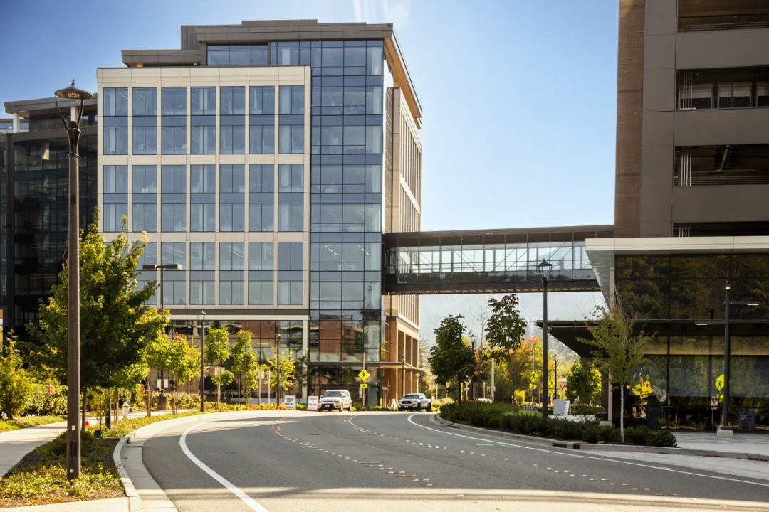 2ba5fd63b87bb5513102be305018f37d