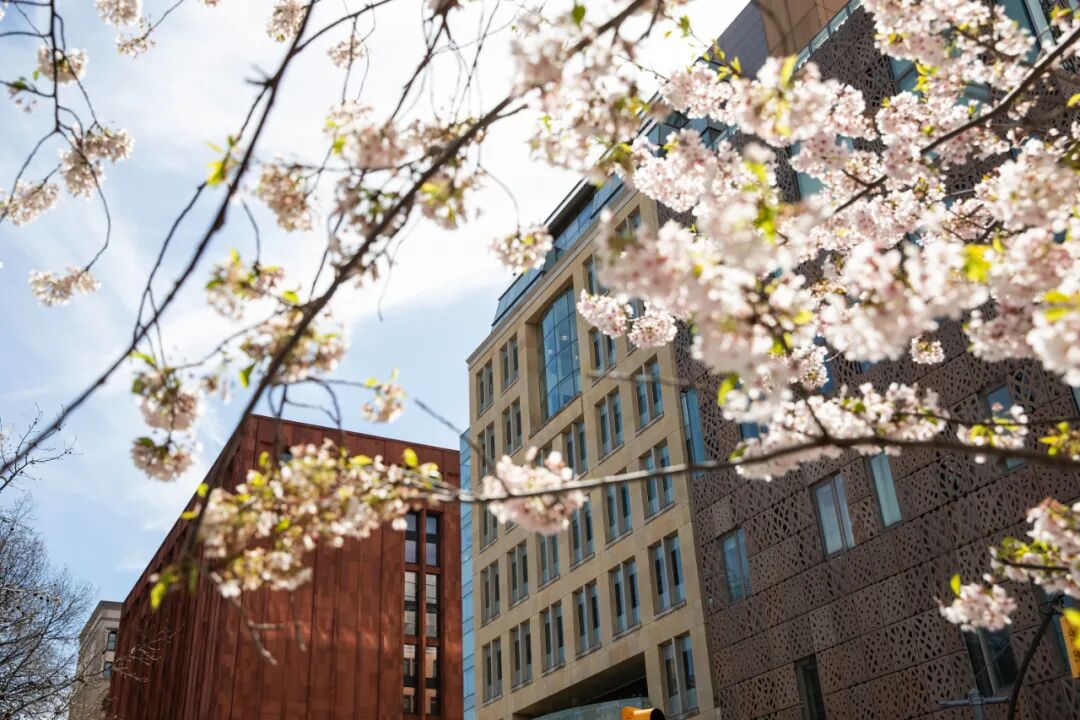 500d596c87767b0e280df82c573d9e04