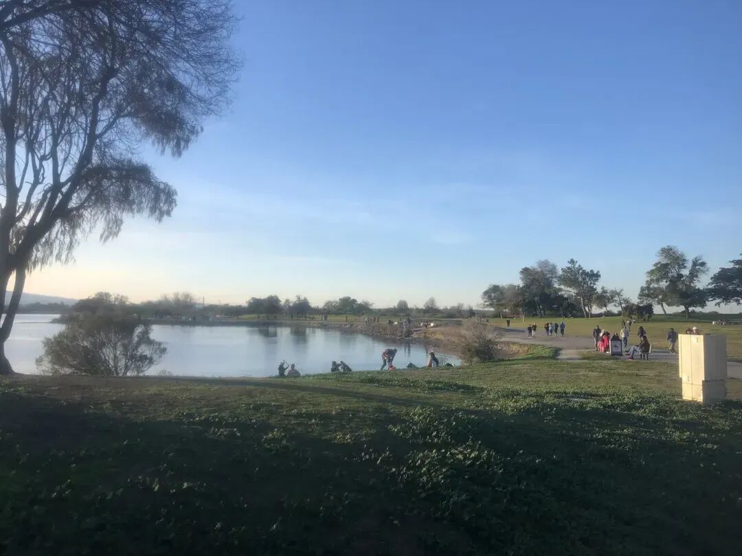 a23d255794739f76358cfd2c8c30b8f5