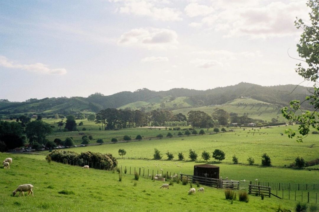 299e04fcb7256767b965522891a8fc33