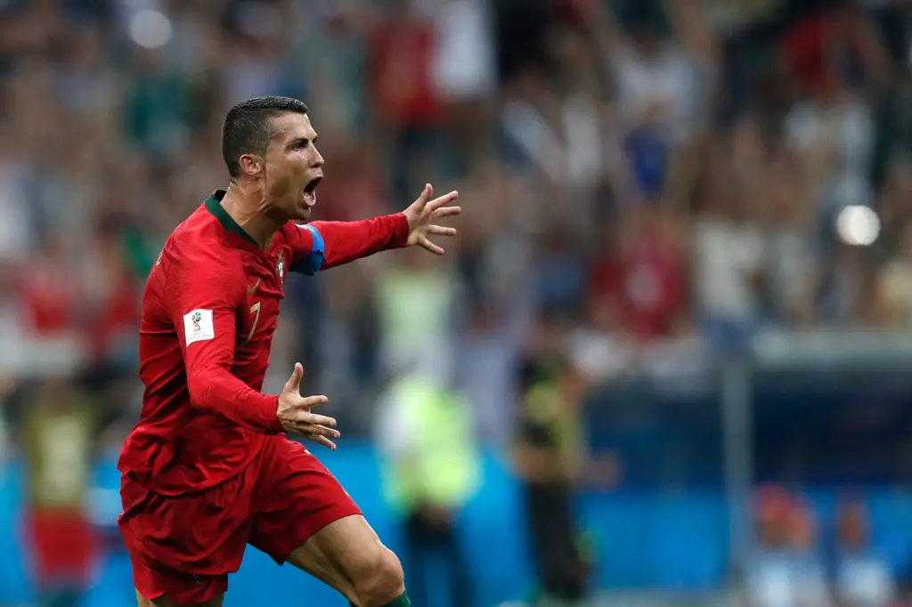 692ce80c65297cef01c14c8619aa4e5d