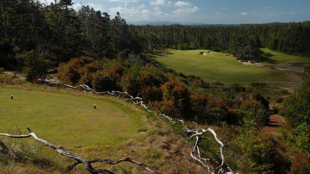 2251fa16851ea8ed5d619d18d14a0567-1