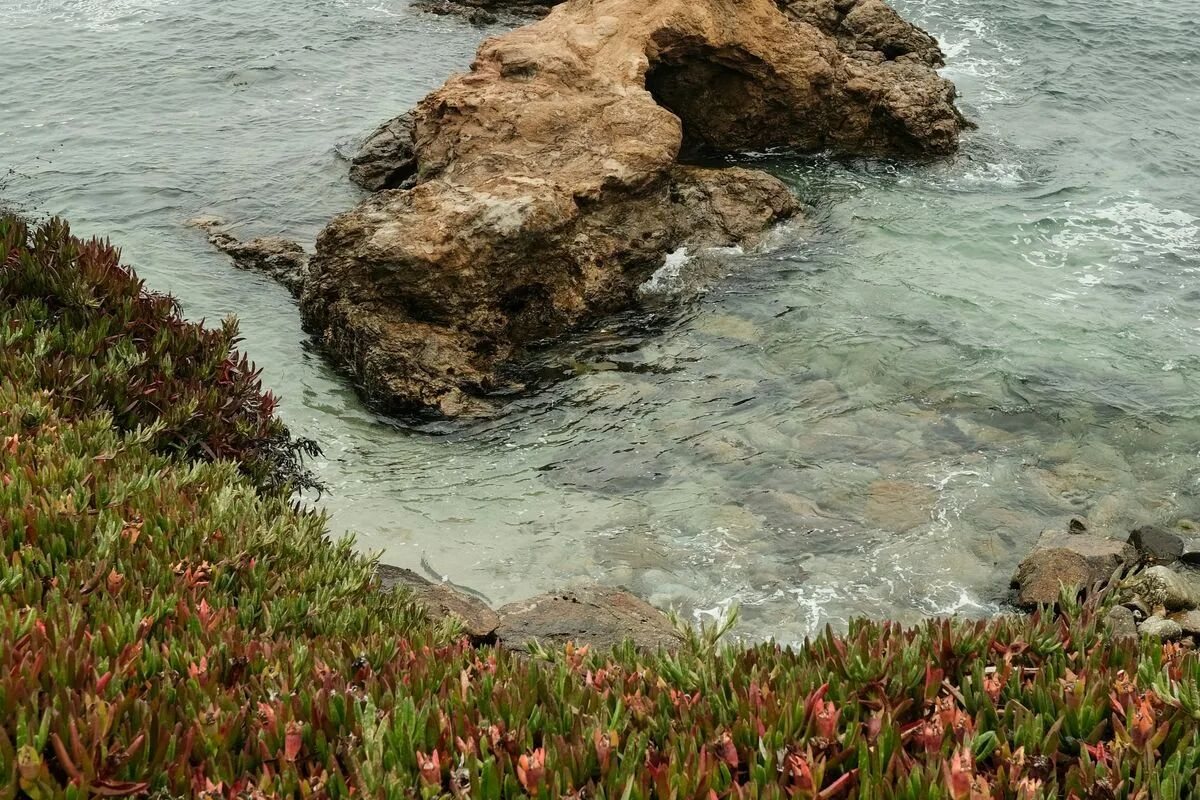 卡梅尔海岸与自然风景