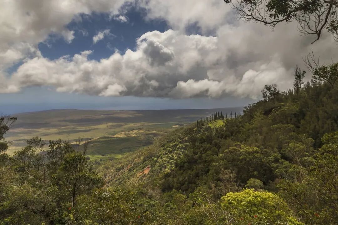 Sensei Lānaʻi 高地景观